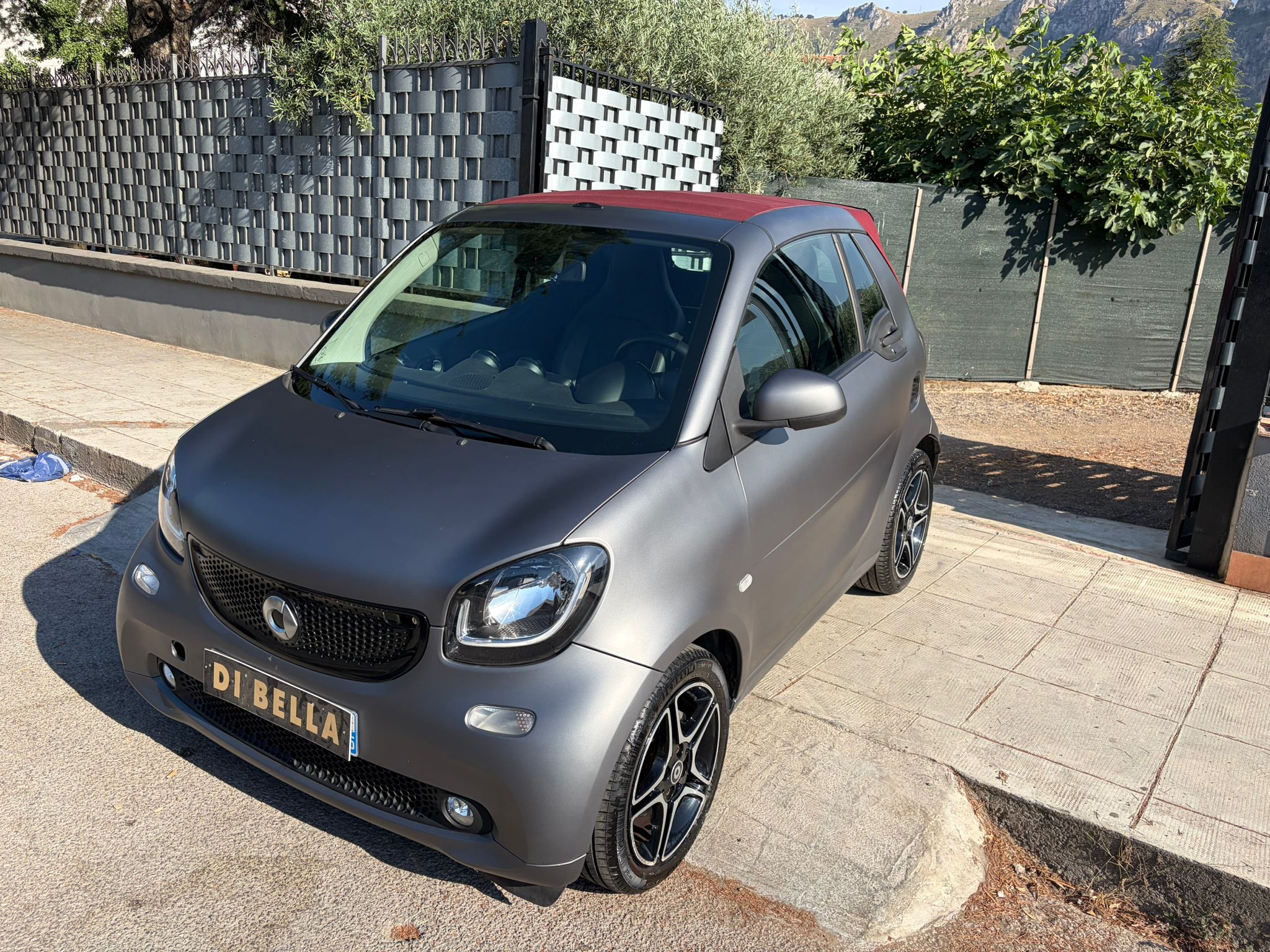 Miniatura 9
