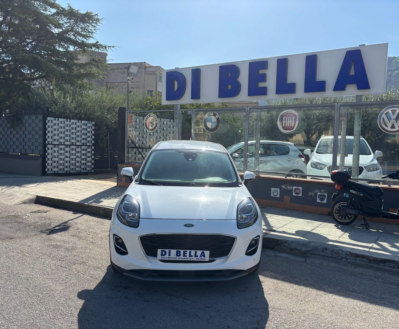 Miniatura 4